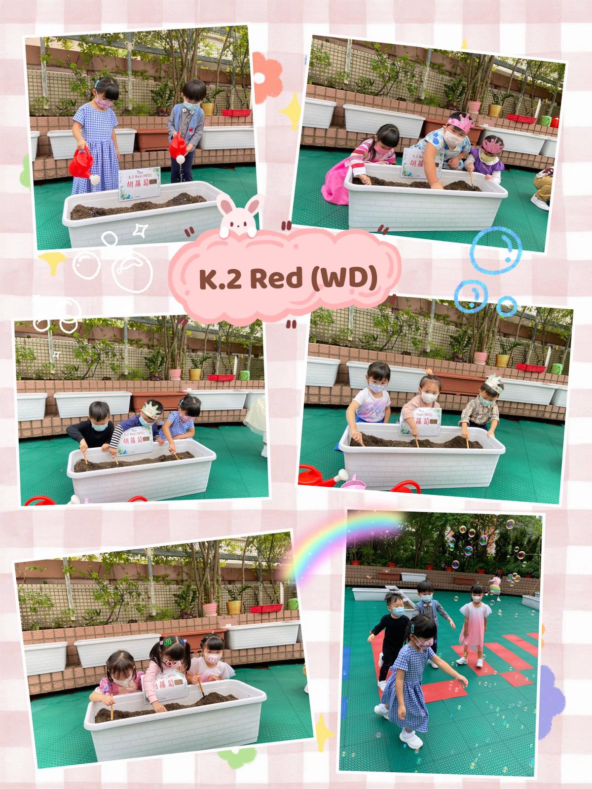 slide-11 slide