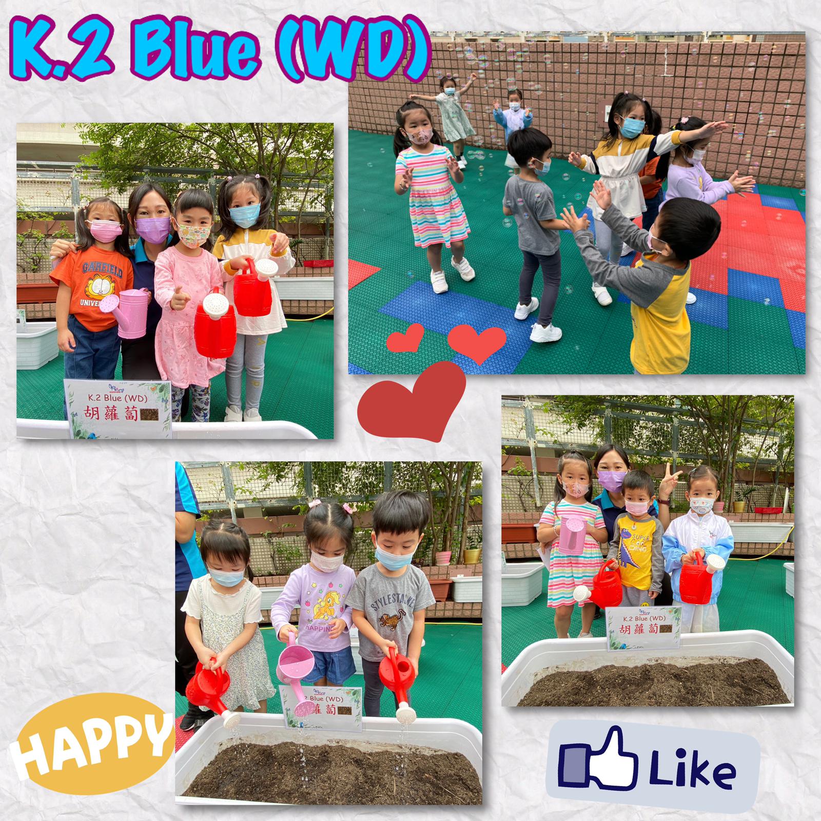 slide-12 slide